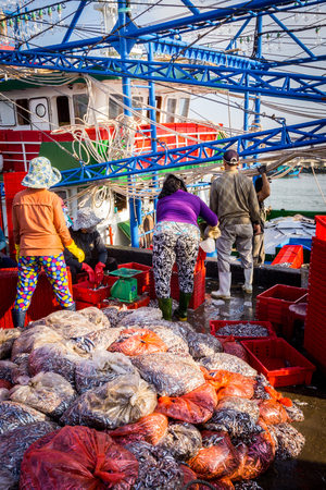 Workers working in the fish marketのeditorial素材