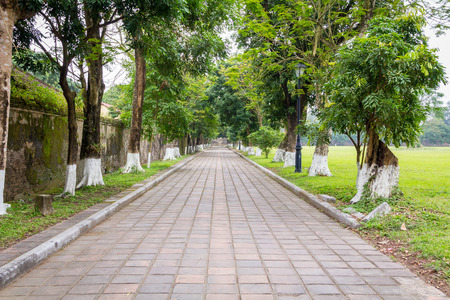 Road in parkの写真素材