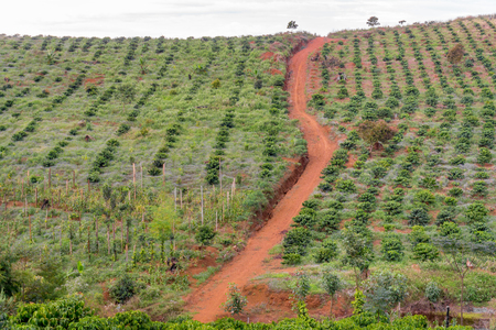 Red road to the hillの写真素材