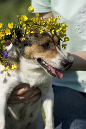 A girl holding a dog with a wreath on her headの写真素材