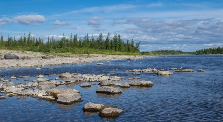 Landscape with forest, river and stonesの写真素材