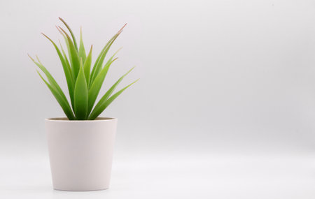Artificial potted green plant with small pot over white backgroundの写真素材