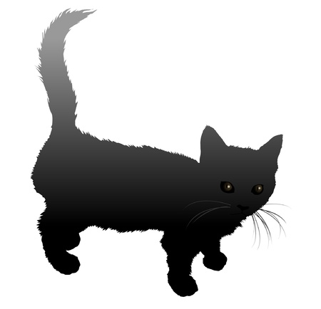 Pet catのイラスト素材