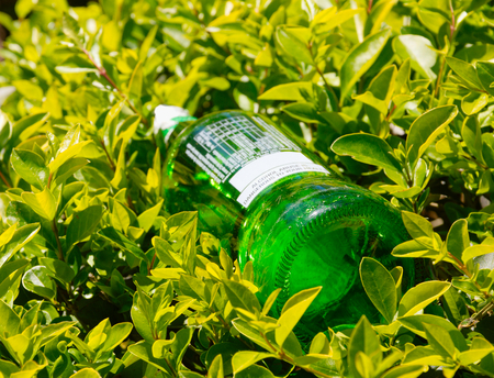 green bottle left in nature and surrounded by plants and leavesの写真素材
