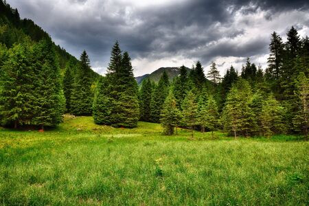 Beautiful summer landscape at Etrachsee, Austriaの写真素材