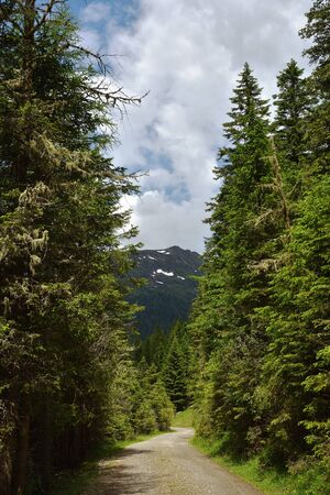 Path along the lake Etrachsee, Austria, heading to a mountain with summer snowの写真素材