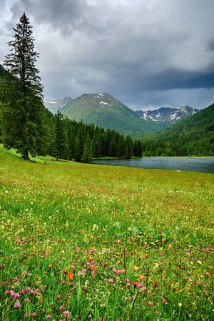 Beautiful summer landscape at Etrachsee, Austriaの写真素材