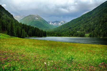 Beautiful summer landscape at Etrachsee, Austriaの写真素材