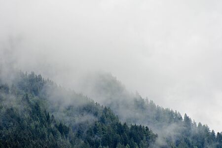 High altitude european forest in a summer foggy, misty day