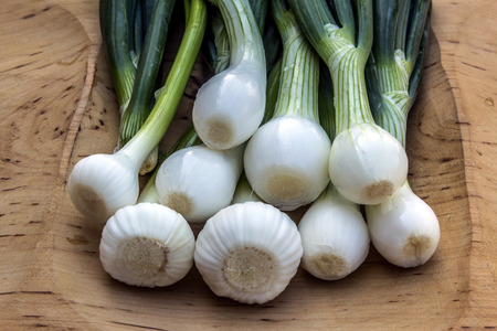 Onionの写真素材