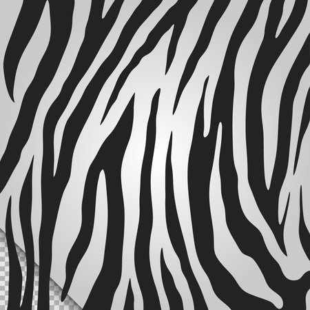 Black and white zebra skin pattern vectorのイラスト素材