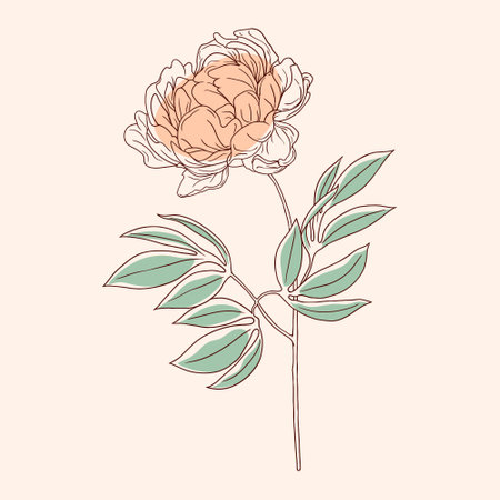 Illustration of a flower in vintage minimalist art styleのイラスト素材