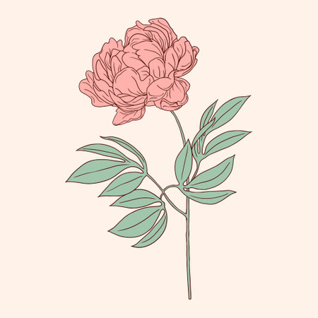 Illustration of a flower in flat color art styleのイラスト素材