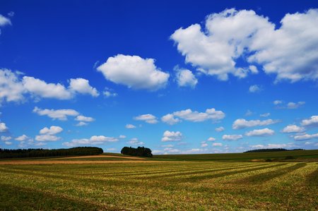 Background with meadows and clouds