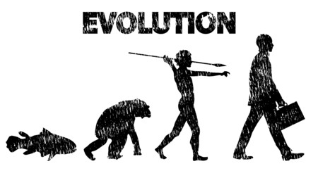Evolution pencil drawing