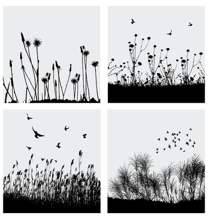 Grassのイラスト素材