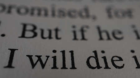 Close-up of dictionary definition of the word I will give.の写真素材