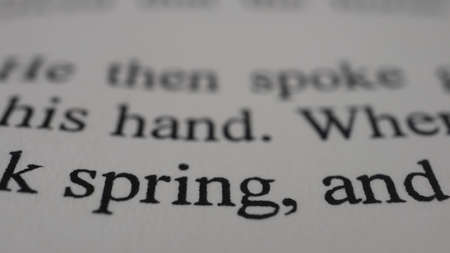 word spring printed on white paper macro close up. High quality photo
