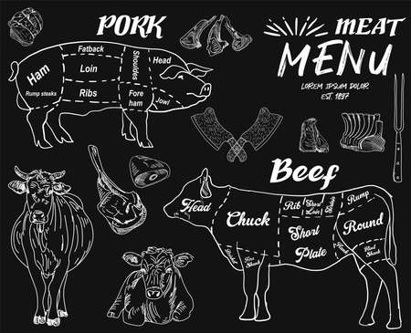 Steak menu for restaurant and cafe. Food flyer. Design layout with vintage lettering and doodle hand-drawn graphic icons. Vector.のイラスト素材