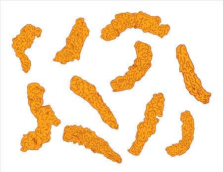 Fried chicken meat. Fast food menu design elements. Restaurant cafe menu, template design. Food flyer. Vector.のイラスト素材