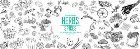 Herbs and Spices. Hand drawn vector illustration set. Top view frame. Engraved design. Spice and herbs black and white design. Card design.のイラスト素材