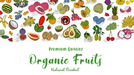 Fruit collection in flat hand drawn style, decorative retro style illustrations set. Tropical fruit and graphic design elements. Sketch style, ingredients color cliparts.のイラスト素材