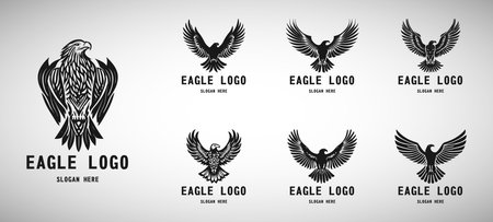 Eagle logo vector. Stylized graphic eagle bird logo template, Vector element for logo, badges or labels design.のイラスト素材