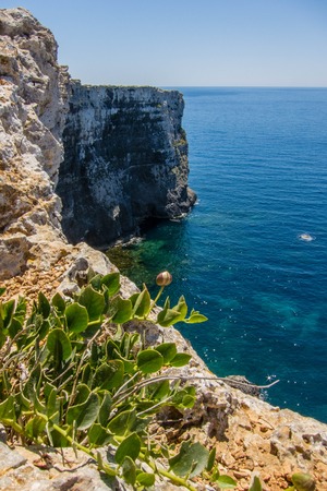 Cliffs on Comino ssland aside Gozo islandの写真素材