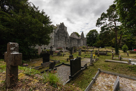 Muckross Abbey in the Killarney National Parkの写真素材