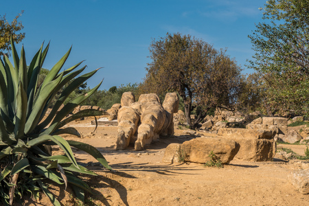 Valle dei Templi in Agrigento in Sicily Italyの写真素材