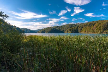 Inside the Plitvice national park in Croatia Europeの写真素材