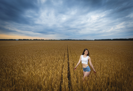 woman is walking in golden field of wheatの写真素材