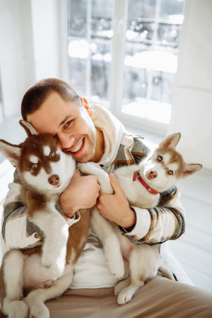 two husky dogs with handsome dark haired brunette man dressed in warm colors plaid shirt cream pants. Guy sitting smiling with husky dogs holding in his arms in white room. husky ownerの写真素材