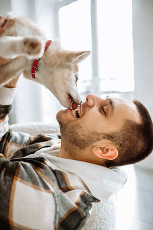 Guy with husky dog sharing sausage in their teeth ,biting each end of it. husky dog with dark haired brunette man dressed in warm colors plaid shirt and cream pants eat sausageの写真素材