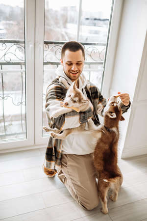 a young Caucasian man with dark hair in a plaid shirt plays with siberian husky dogs. The guy owner feeds two dogs in a white room sitting on his feet. man with dogs in front of the window. Close upの写真素材