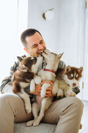 guy holding a sausage in his mouth to feed the puppies. european man holding a lot of husky puppies in his arms doing mouth to mouth feeding. home atmosphere with puppiesの写真素材