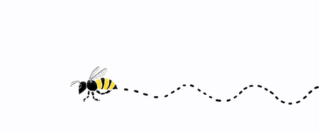 Bee flying on white color background.concepts ideas of animal.clipping path