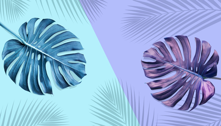 Tropical monstera leaves with palm shadow on pastel color background.Nature and holiday summer concepts.Floral elementsの写真素材