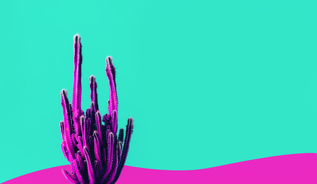 Exotic color of cactus on colorful background.Minimal.Abstract minimal design