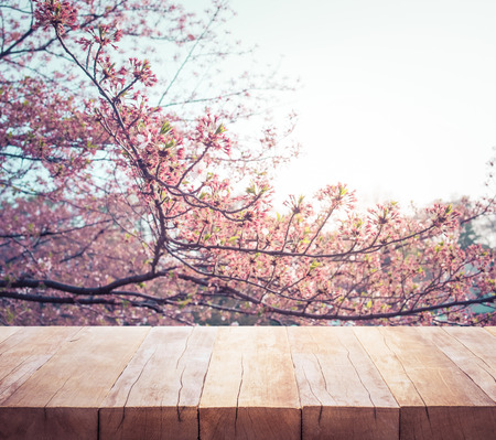 Wood table top on blur sakura flower in garden background.nature and season.For create product display or design key visual layoutの写真素材