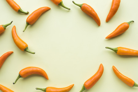 Top view of chilli set with copy space on pastel color background.flat lay design idea