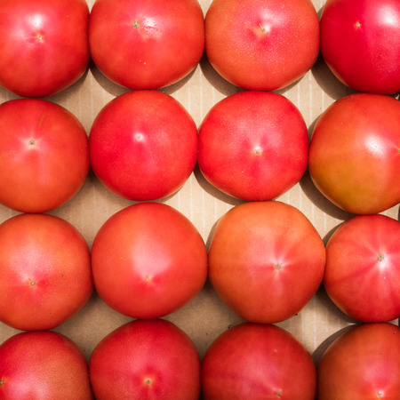 Fresh tomato in box.Organic fruit products concept ideasの写真素材