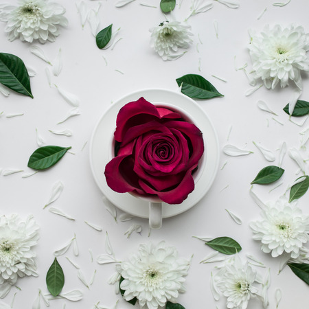 Rose flower in coffe cup on white background.Flat lay. Valentines,love and wedding concept ideasの写真素材