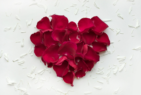 Heart shape made of rose with petals flowers on white background.Flat lay. Valentines,love and wedding concepts ideasの写真素材