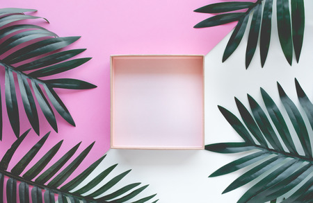 Tropical leaves foliage plant close up with box frame copy space background.Nature and summer...