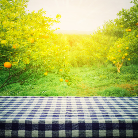 Tablecloth top with blur of orange garden in the morning.For montage product display or design key visual layoutの写真素材