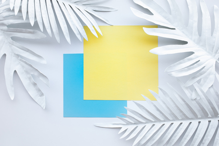 Collection of white tropical leaves,foliage plant with geometric color space background.Abstract leaf decoration design.Exotic nature for cover templateの写真素材
