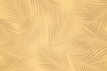Selective focus of summer and holiday backgrounds concepts with shadow of coconut leaf on clean sand...