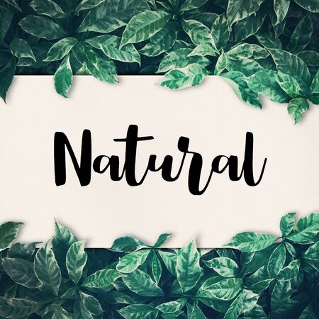 Natural word with green leaf.friendly,eco environment,conceptsの写真素材