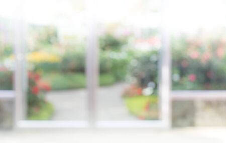 Blur of abstract green garden background in morningの写真素材
